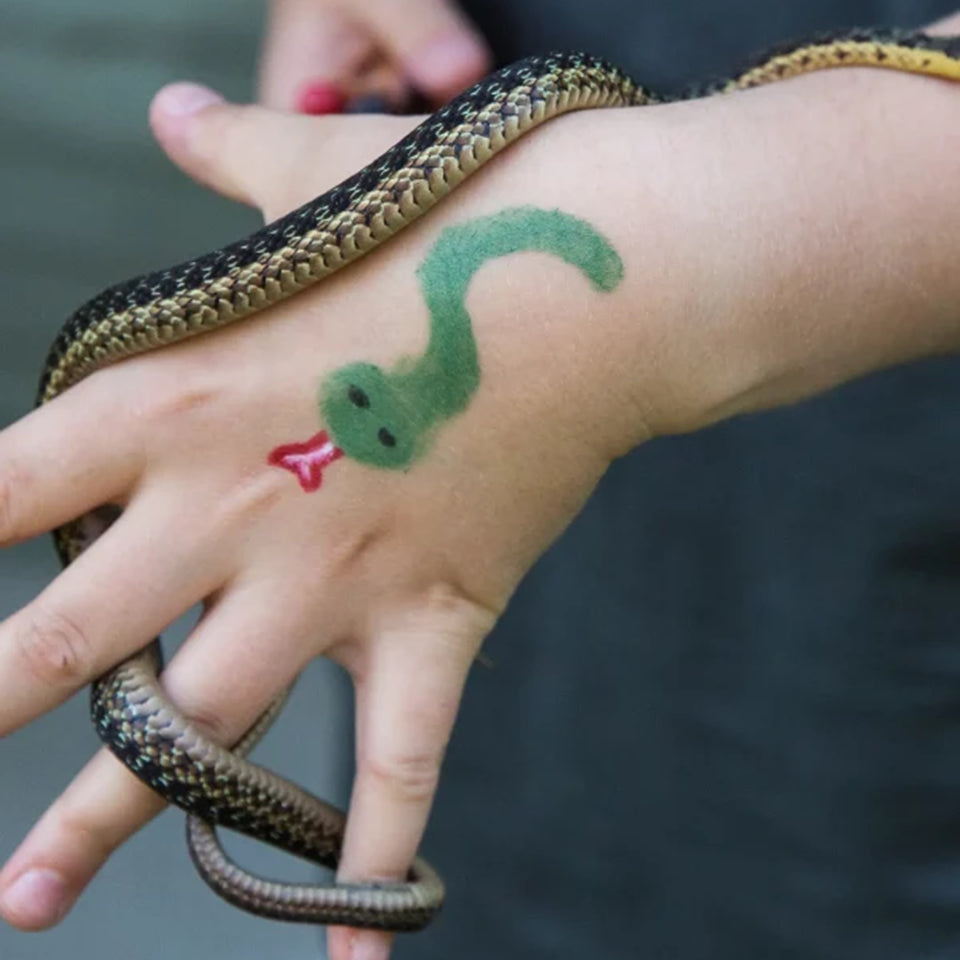 【namaki（ナマキ）】<br>フェイスペイント ペンシル（グリーン）