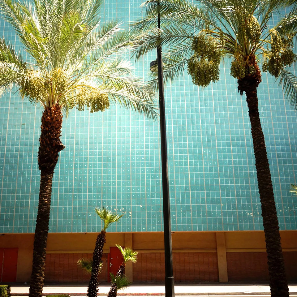 【Lola James Harper】<br>アートブック<br>Where the Sun Keeps Shining-