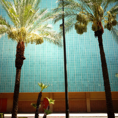 【Lola James Harper】<br>アートブック<br>Where the Sun Keeps Shining-